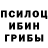 Псилоцибиновые грибы мухоморы Zoyir Maxmatqulov
