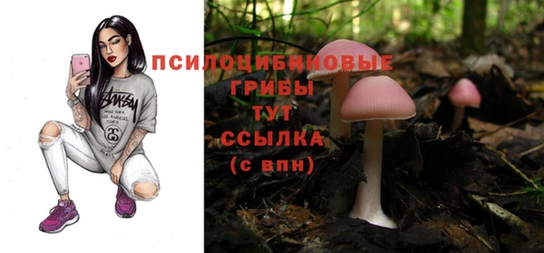 экстази Баксан