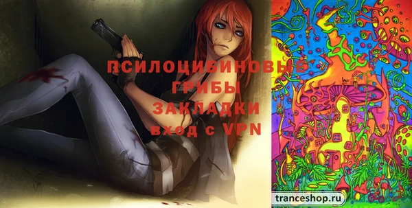 стаф Балахна