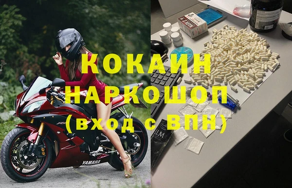 стаф Балахна