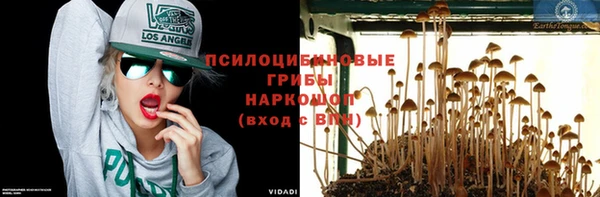 стаф Балахна